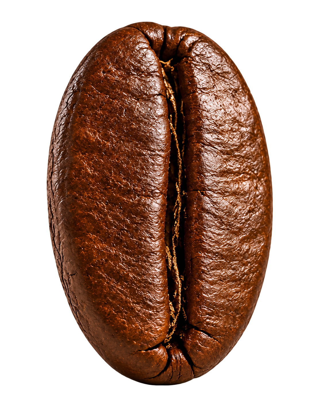 Roasted coffee bean, illustrative